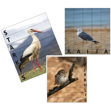 Putnu puzles! - Mācību materiāli Pirmsskola