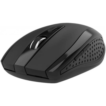 Acer Ergonomic Mouse MX202 Wireless Black HP.EXPBG