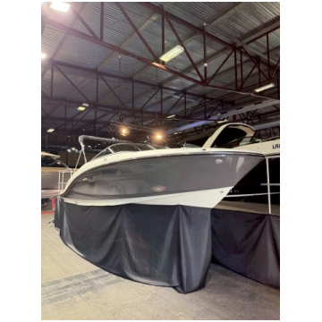Sea Ray SPX 210