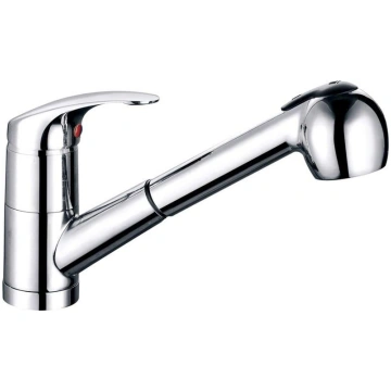 KITCHEN FAUCET WITH PULL OUT SPRAYER P0 6900325020