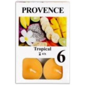 PROVENCE Tealights Tropical 6pcs Svece 1156022716-