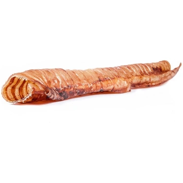 Liellopa traheja (negriezta) 30 cm