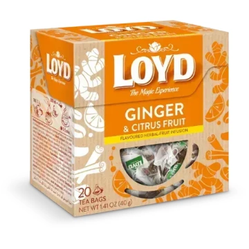 Augļu tēja LOYD Ginger&Citrus 20x2g