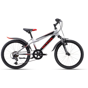 Bērnu velosipēds CTM Scooby 3.0 Silver 20 collas