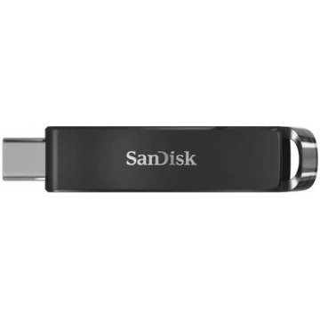 MEMORY DRIVE FLASH USB-C 32GB/SDCZ460-032G-G46 SAN