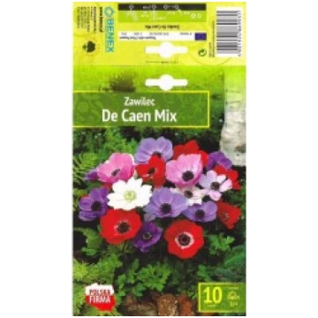 ANEMONES DE CAEN MIX BENEX