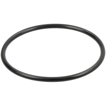 Spicer Dana O ring gredzens 359236X1N